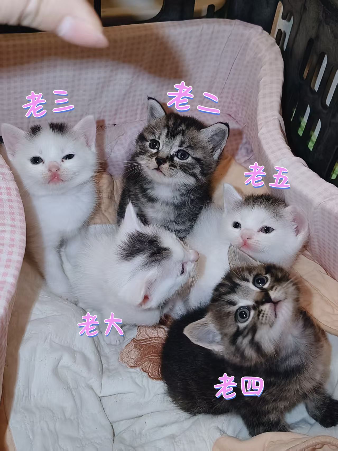 #