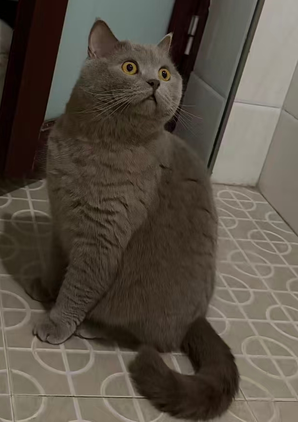 #