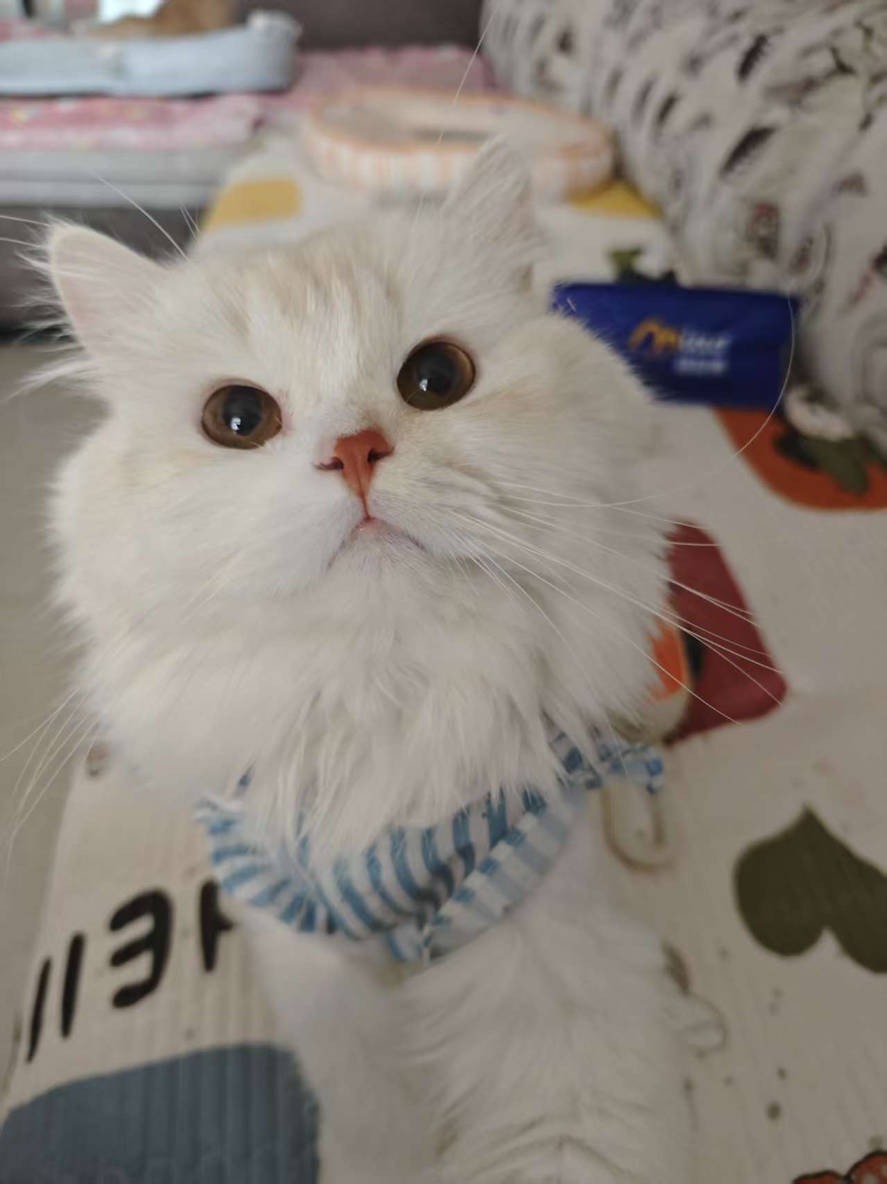 #