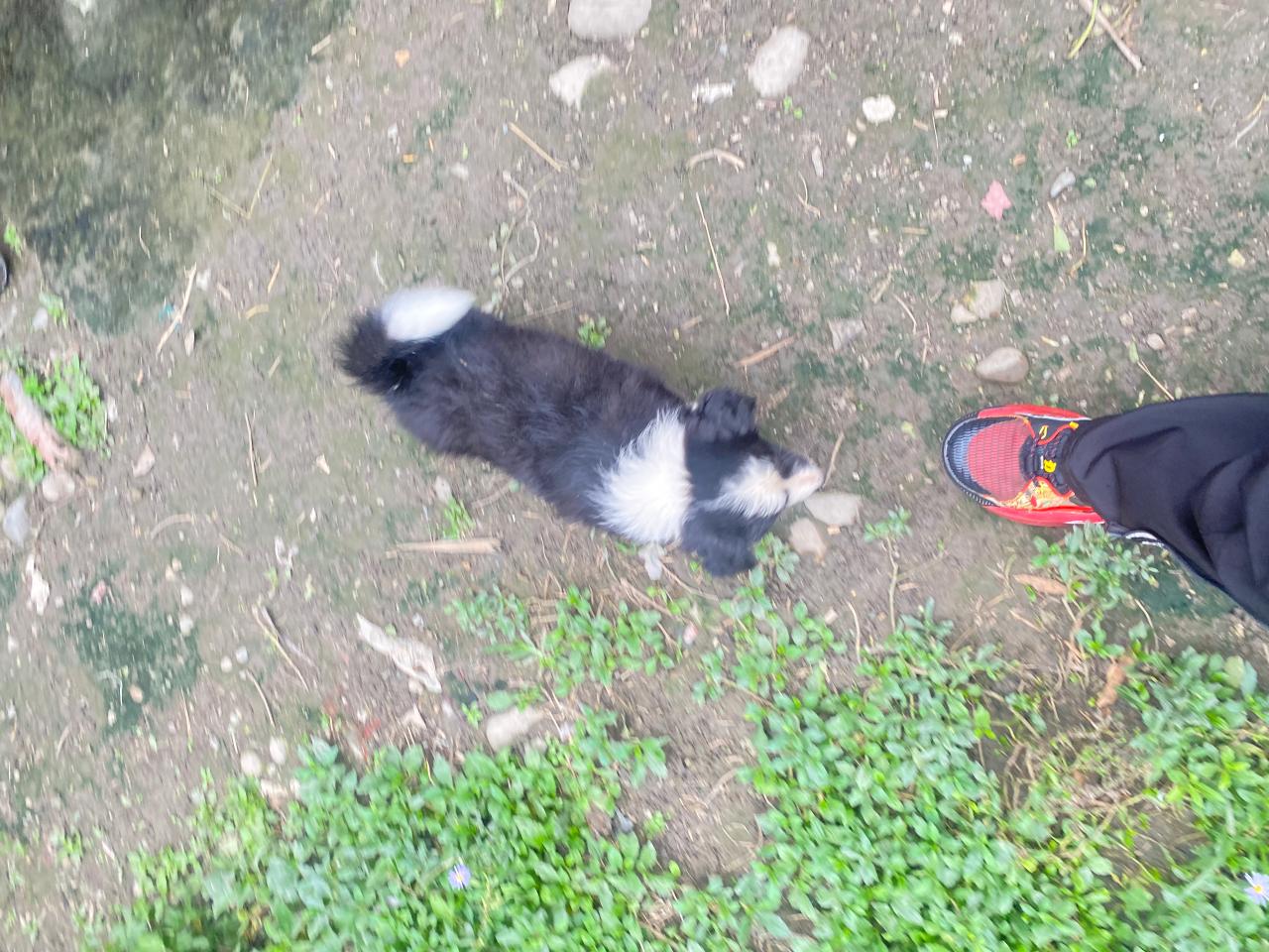 #