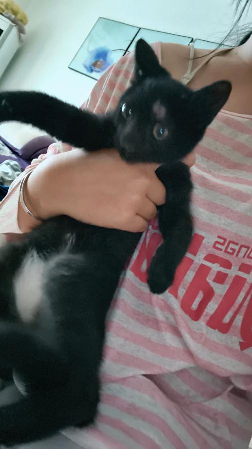 #