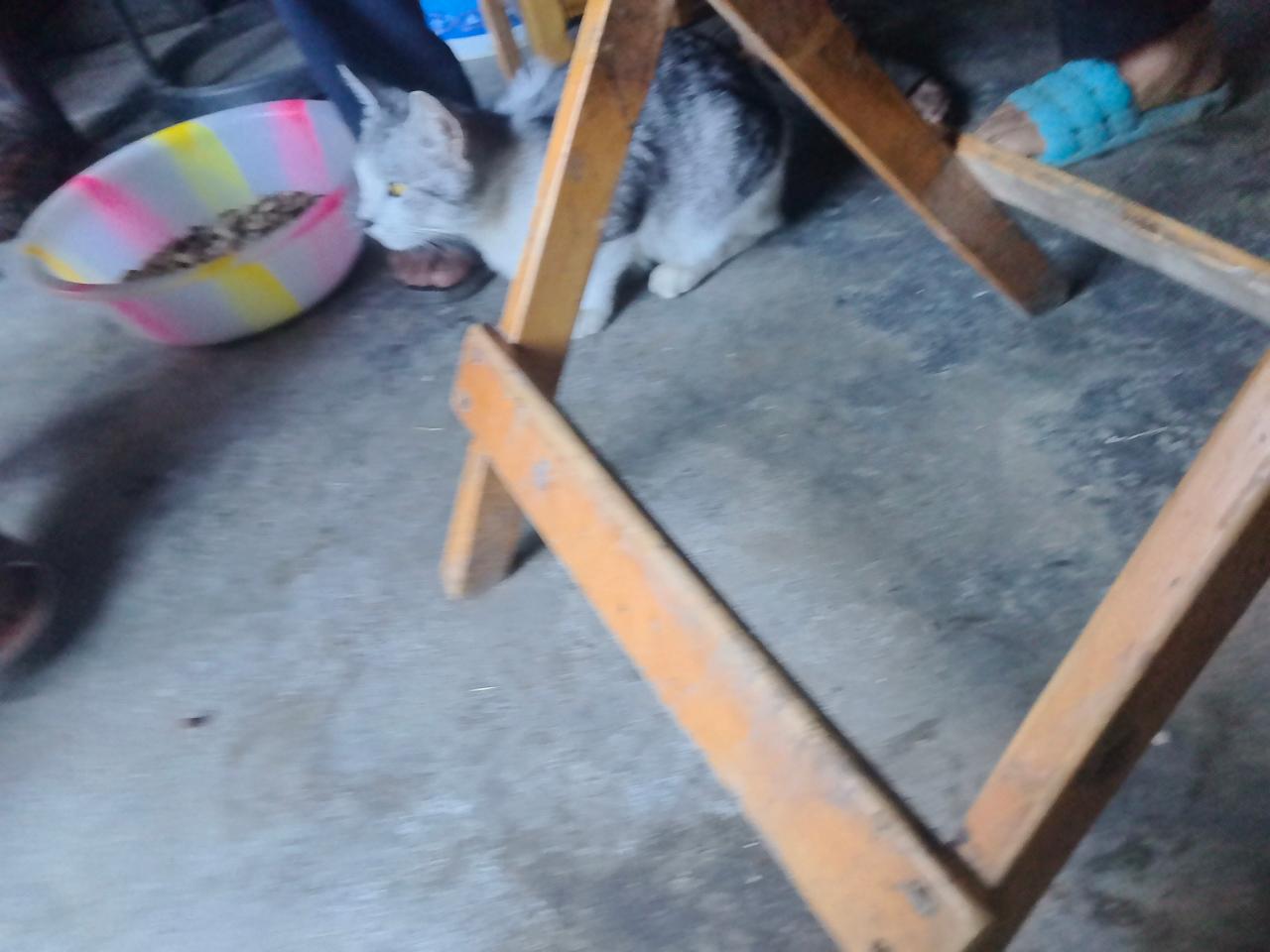#