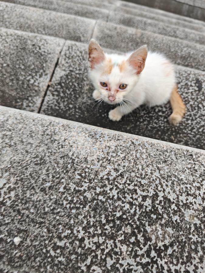 #