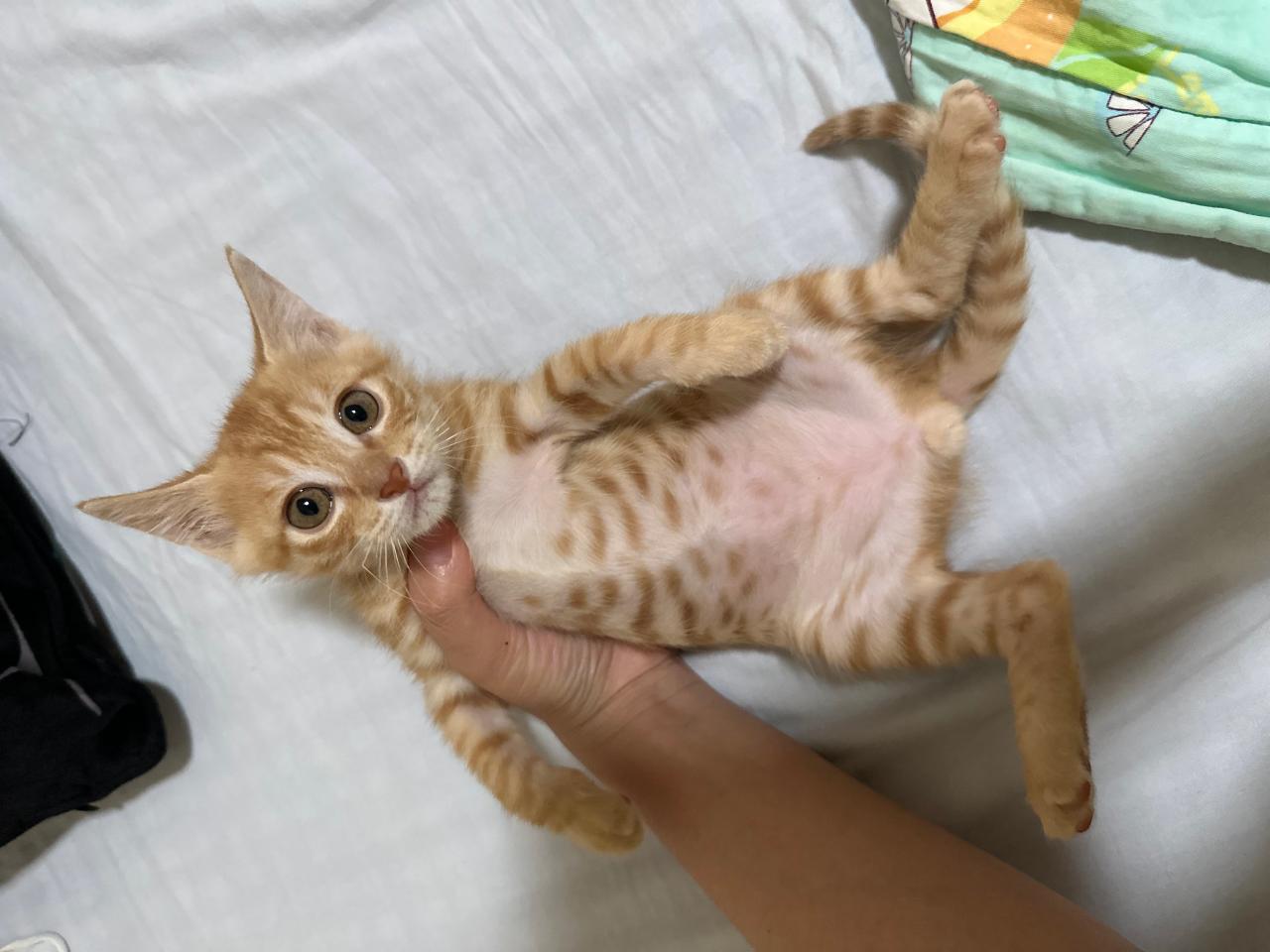 #