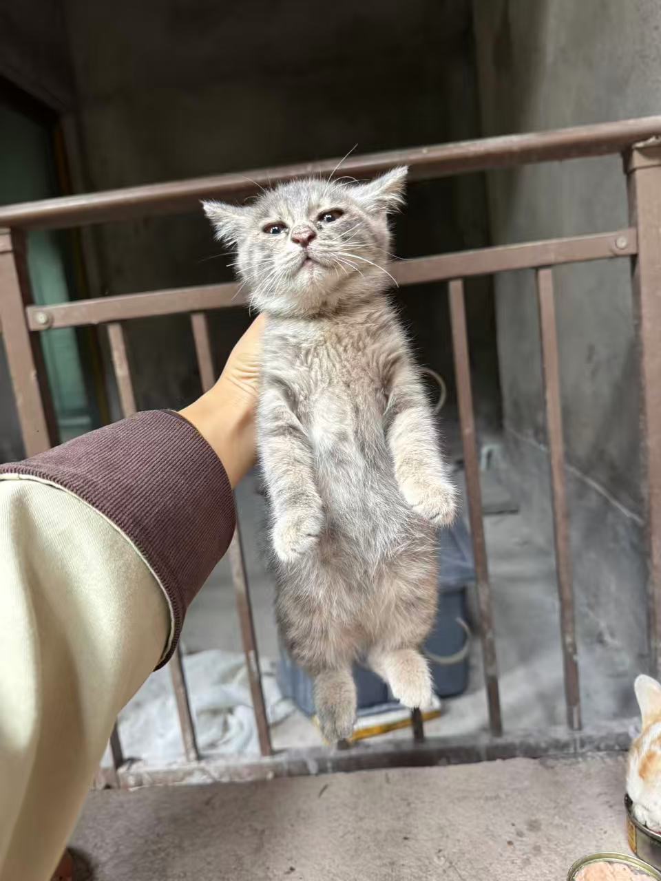 #