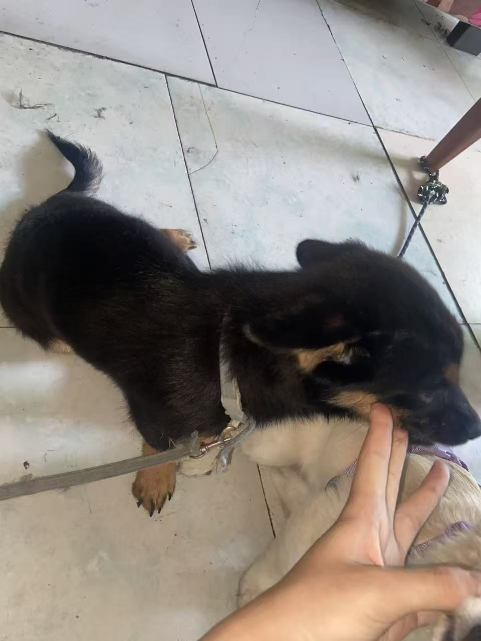 #