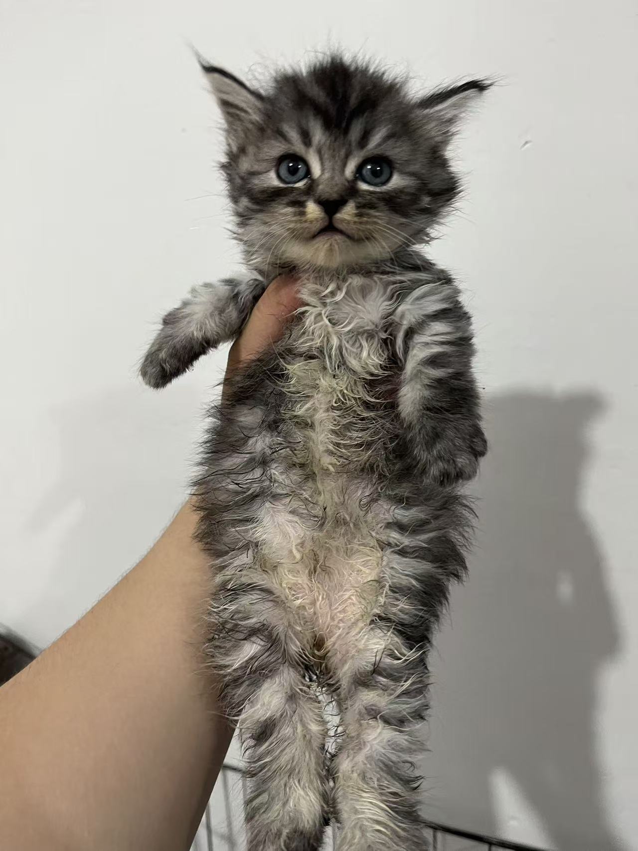 #