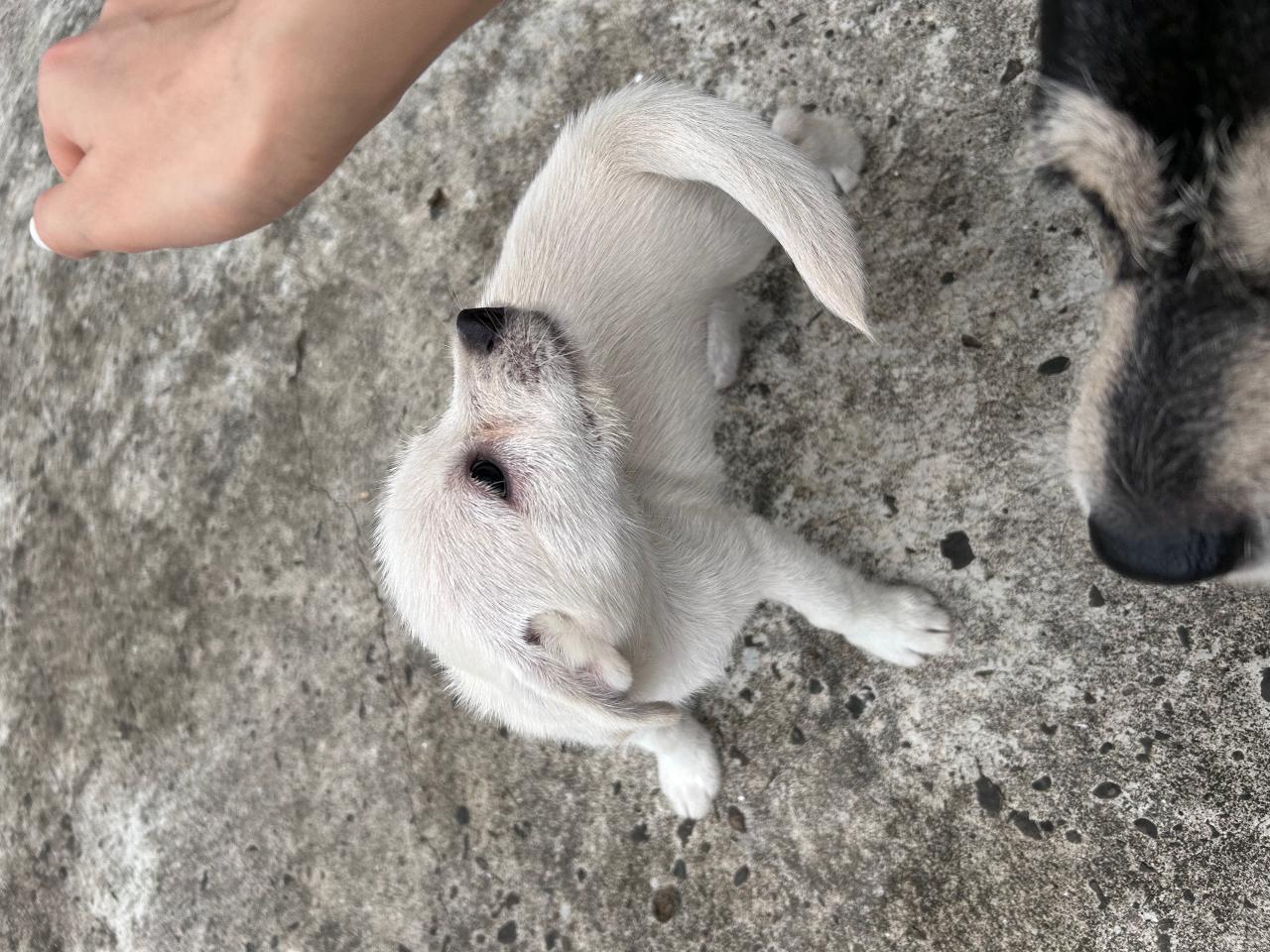 #