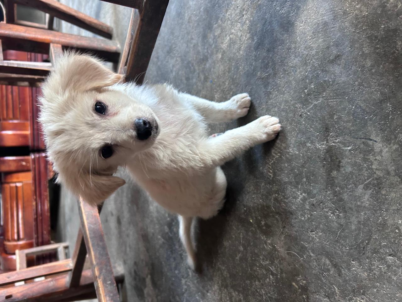 #