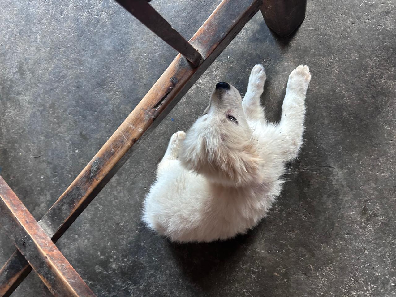 #