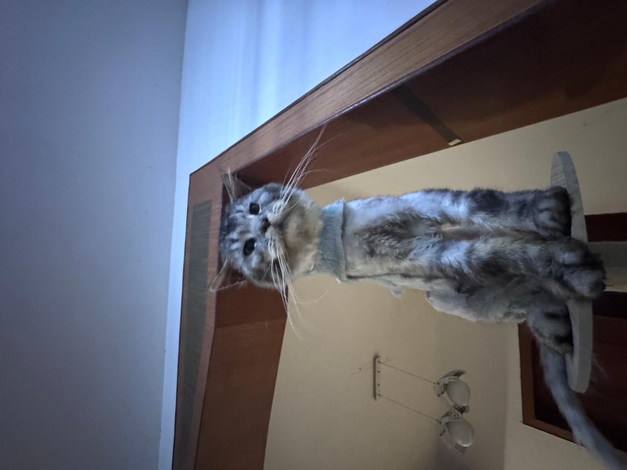#