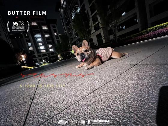 狗狗·法斗·元宝