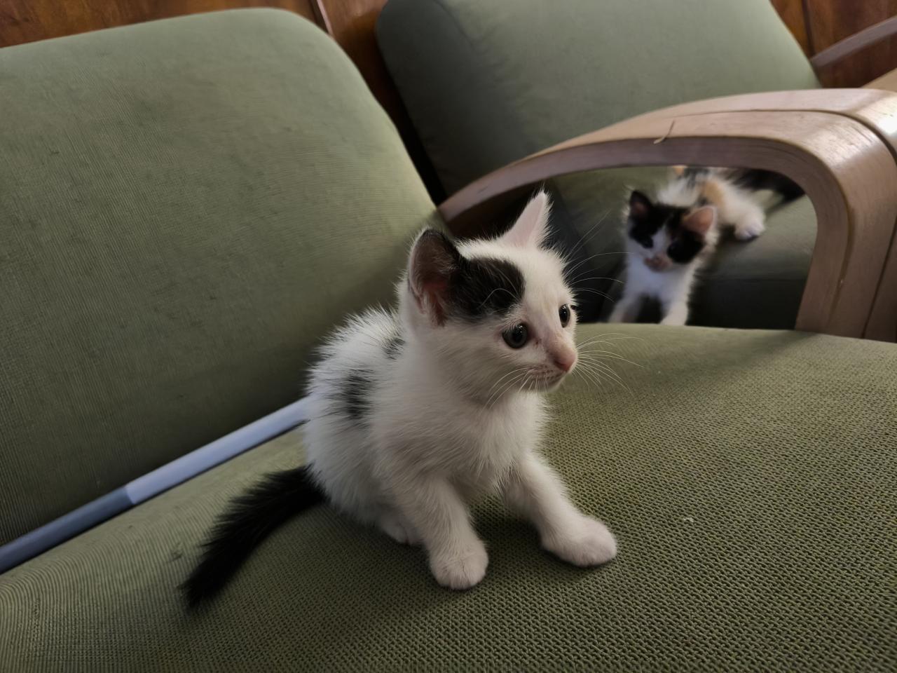 #