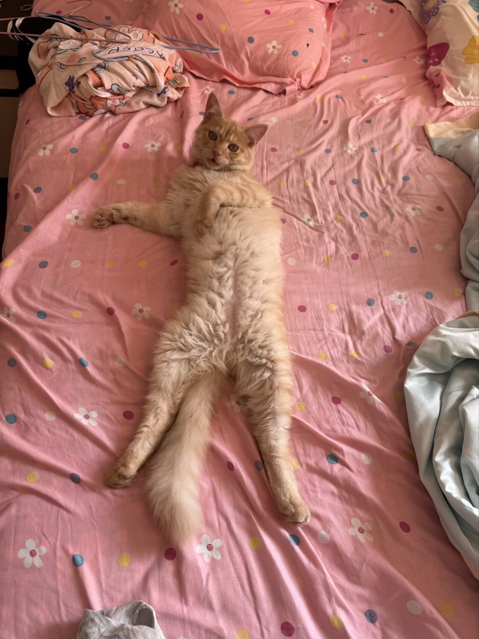 #