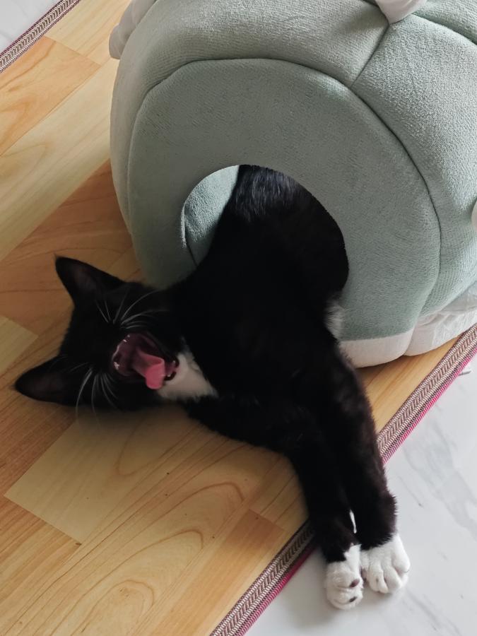 #