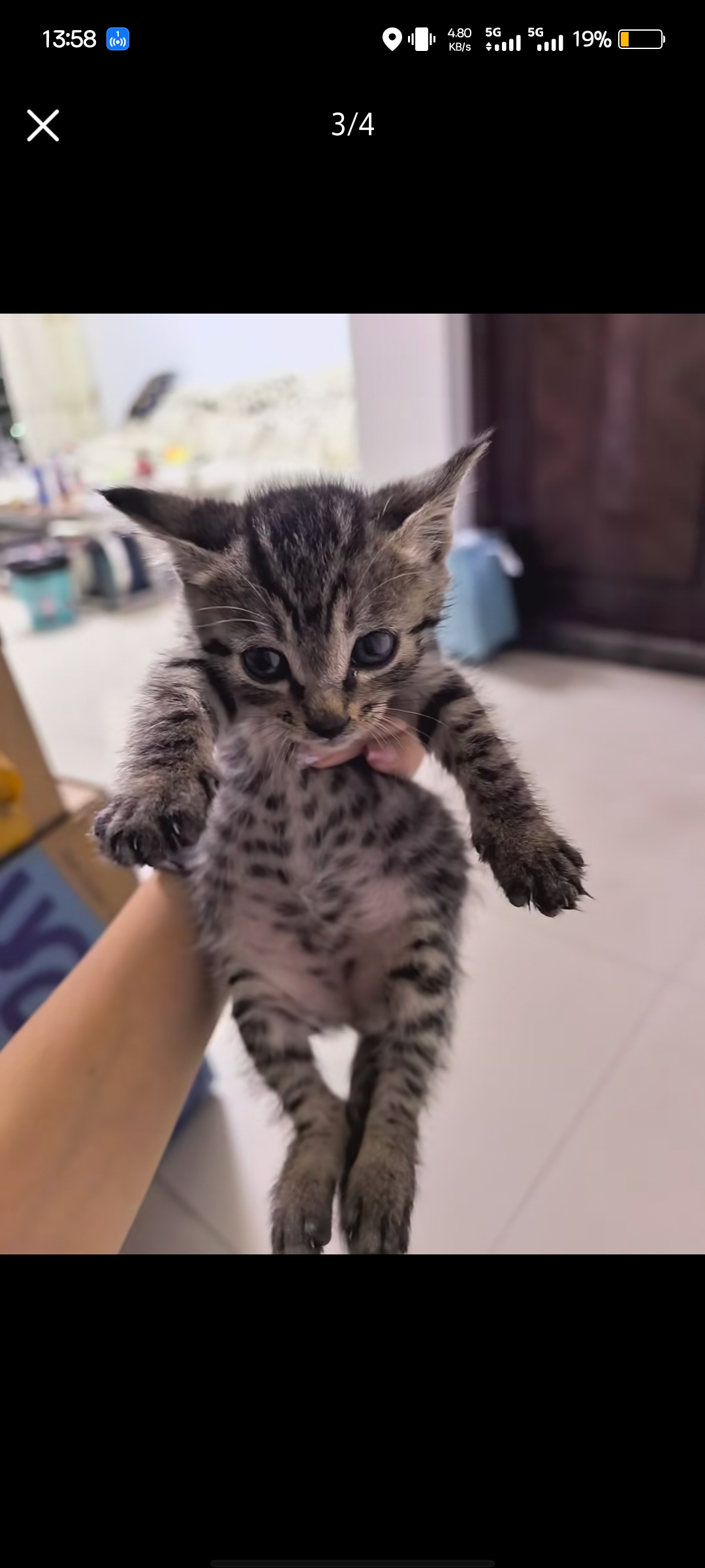 #