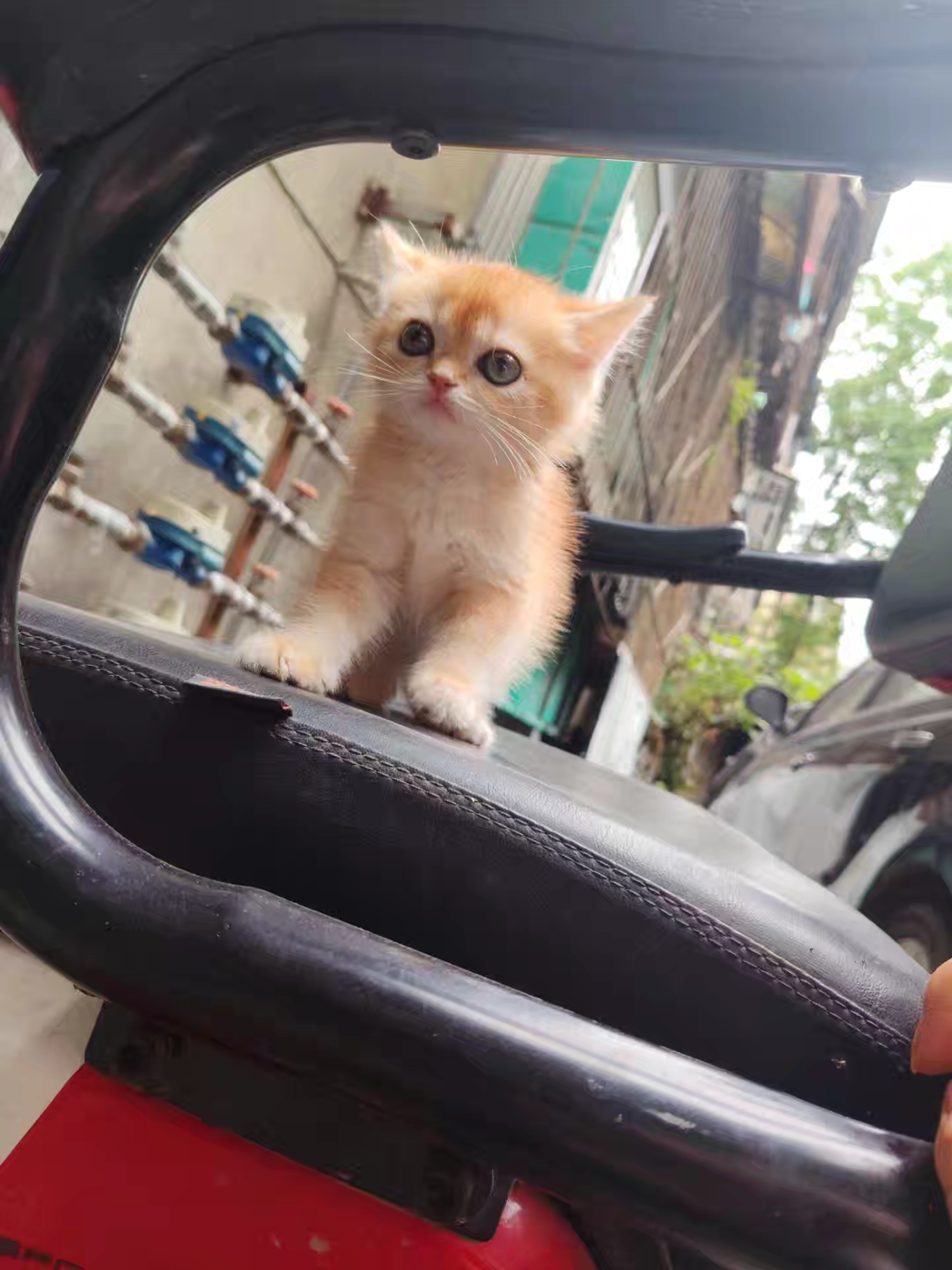 #