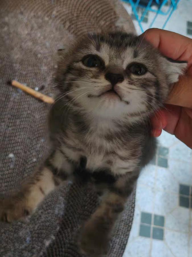 #
