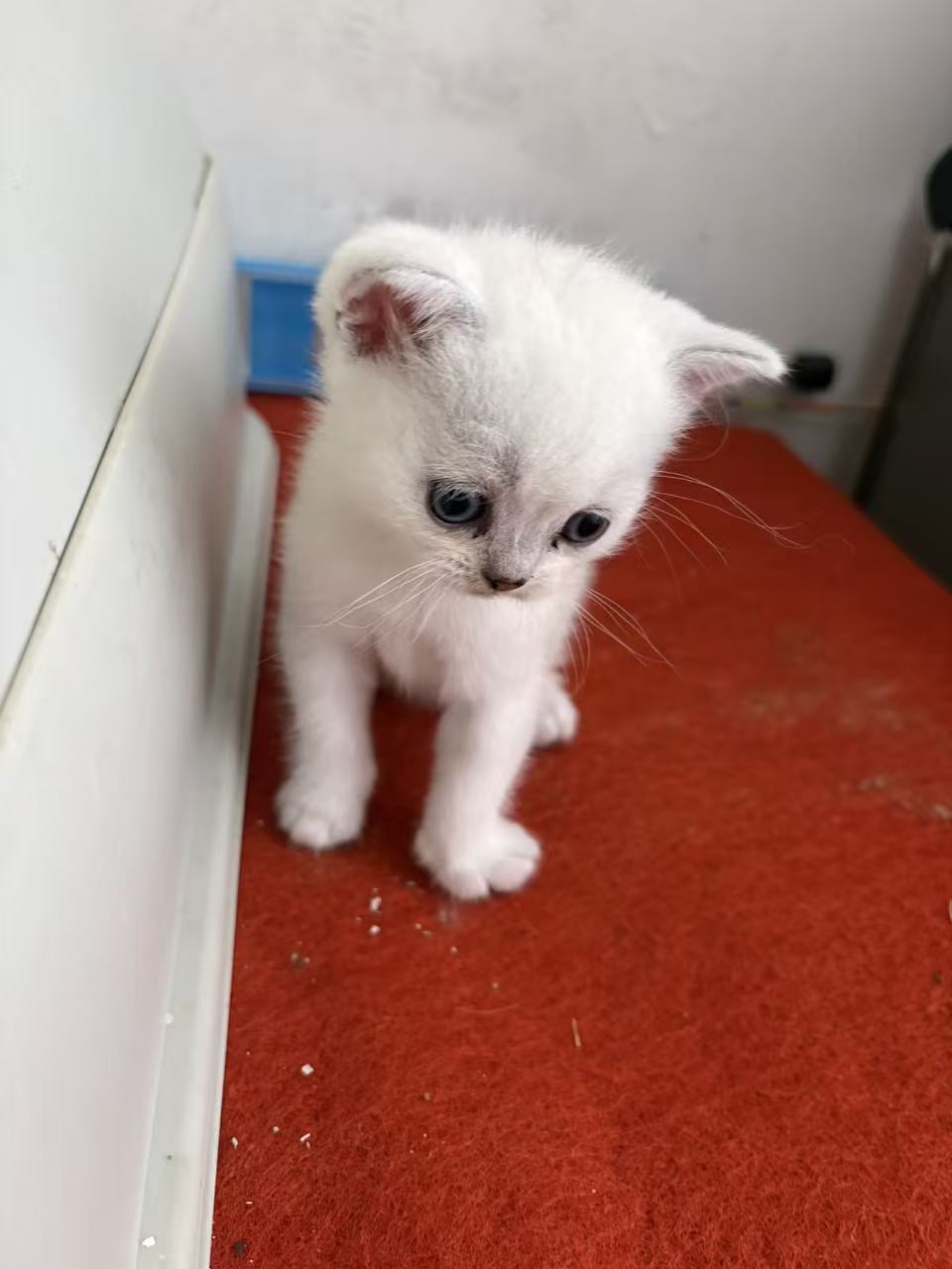 #