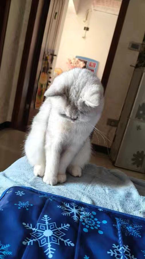#