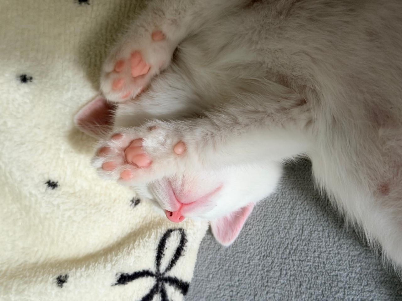 #