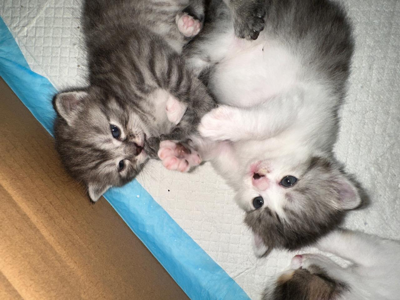 #