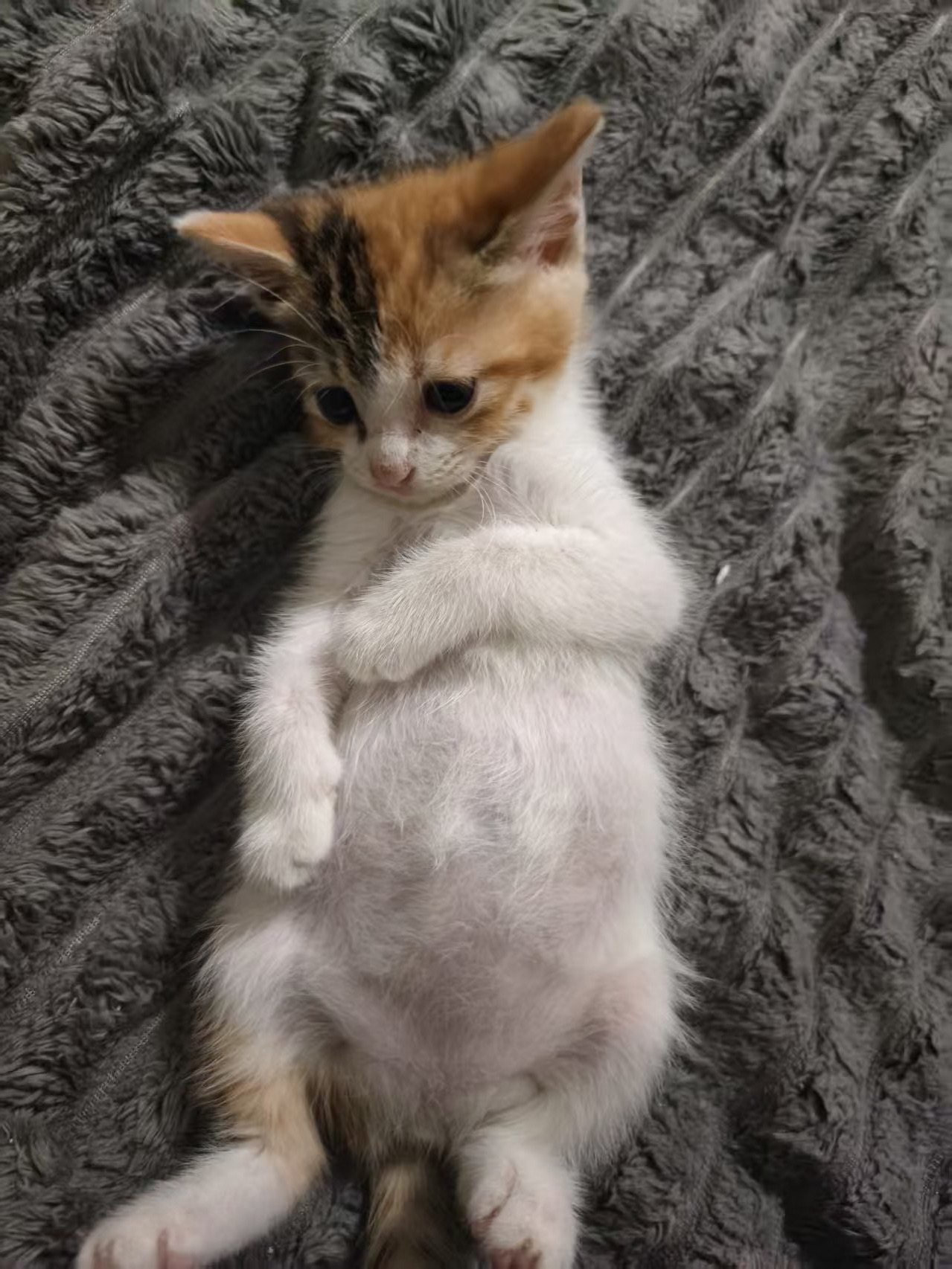#