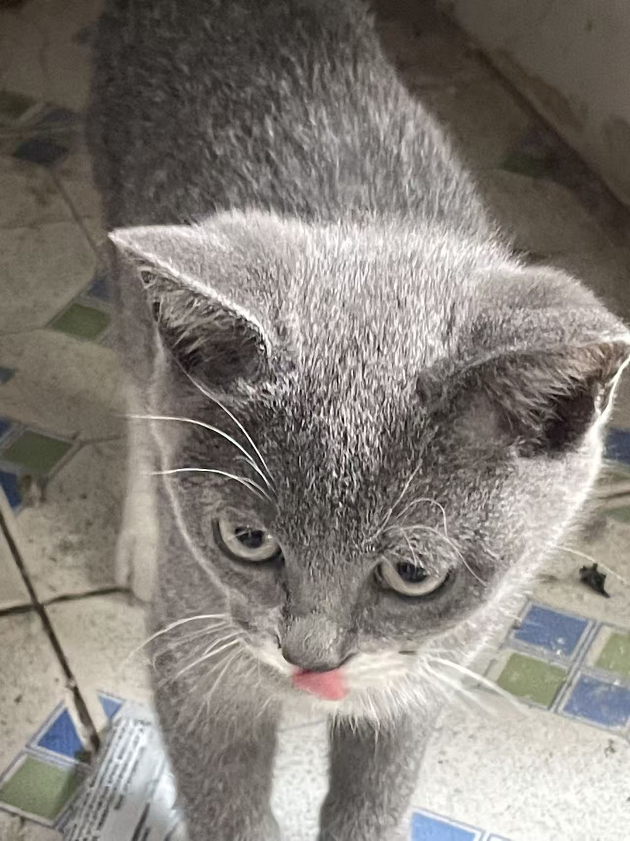 #