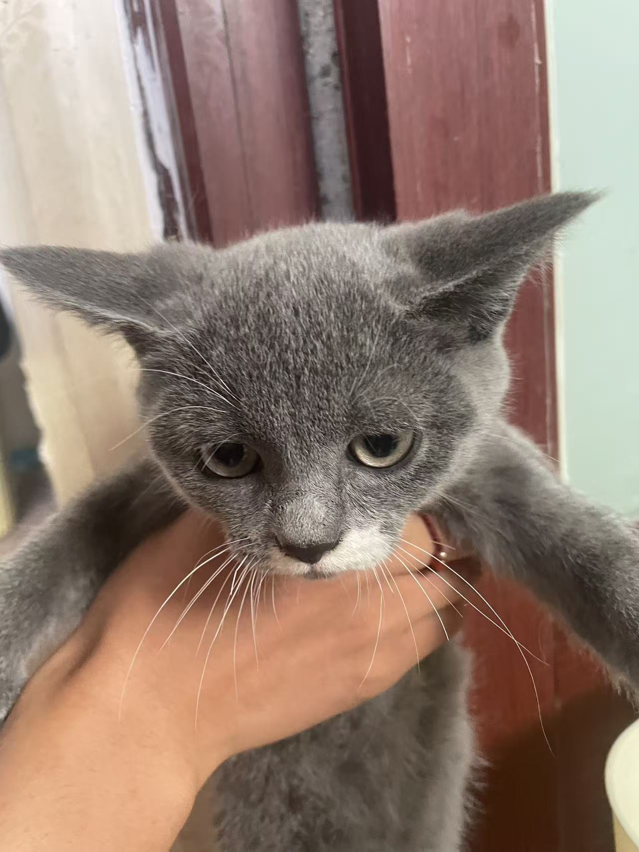 #