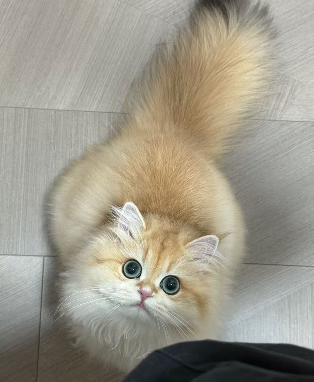 #