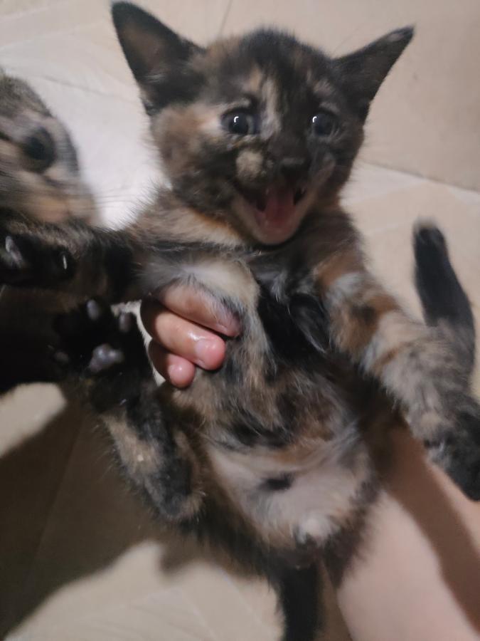 #