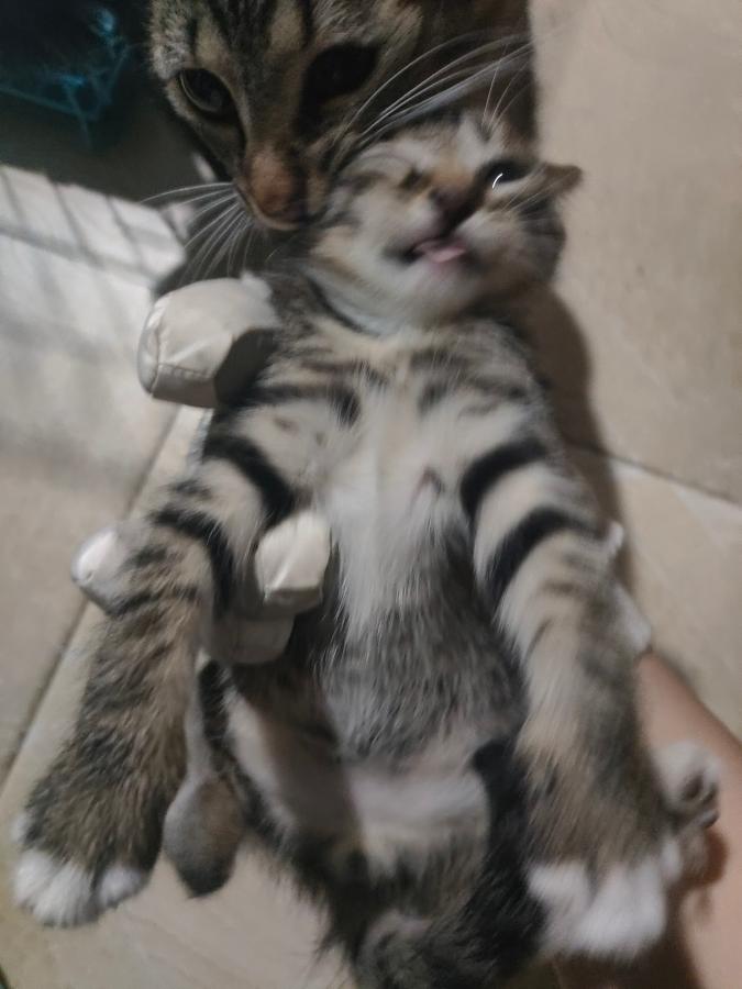 #