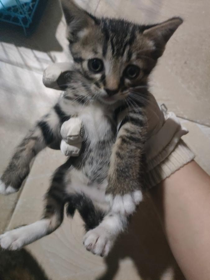 #