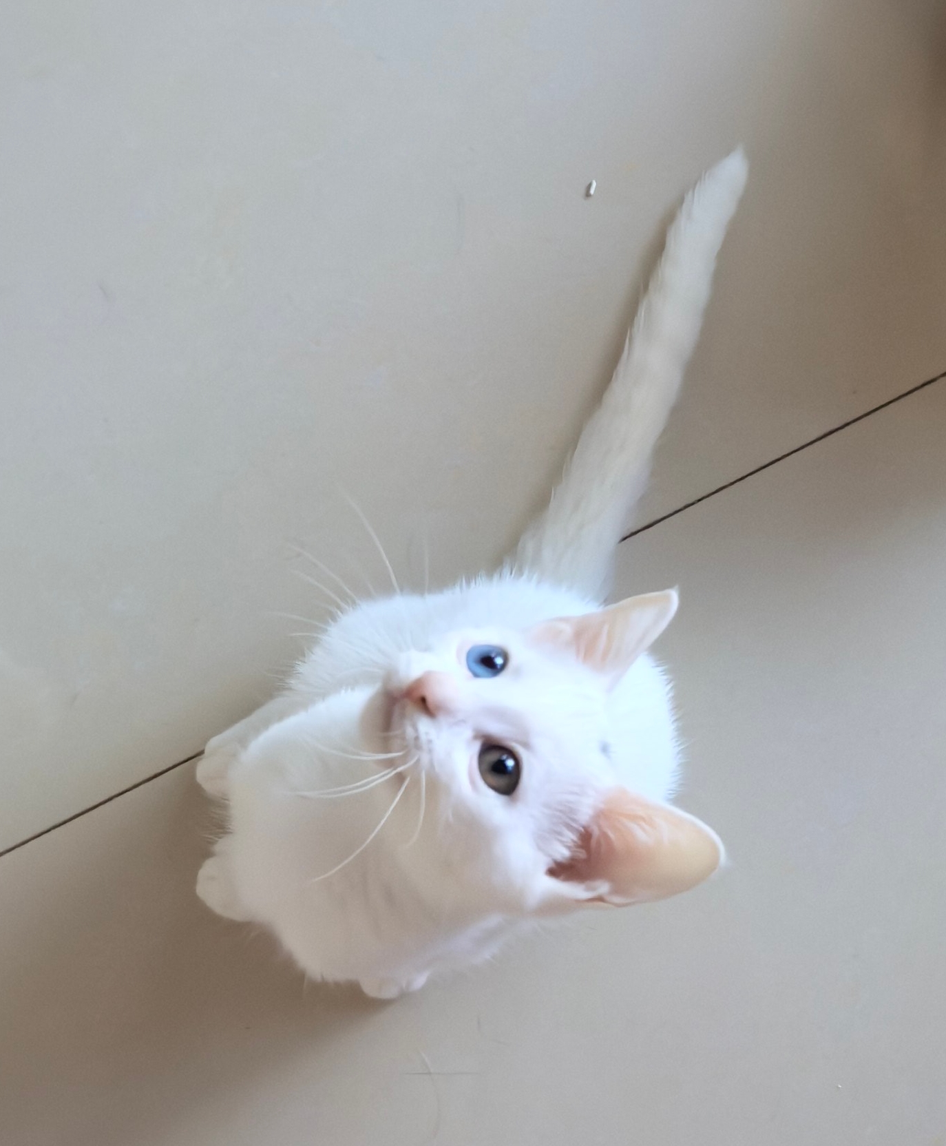 #
