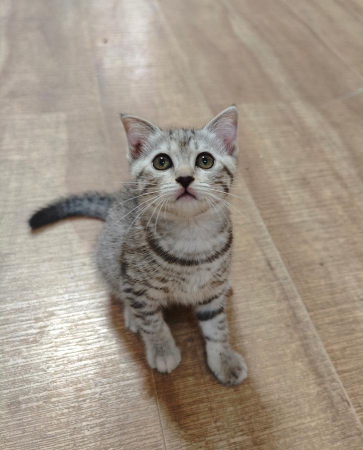 #