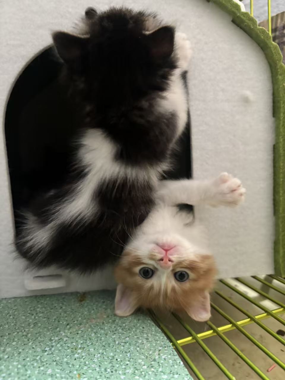 #