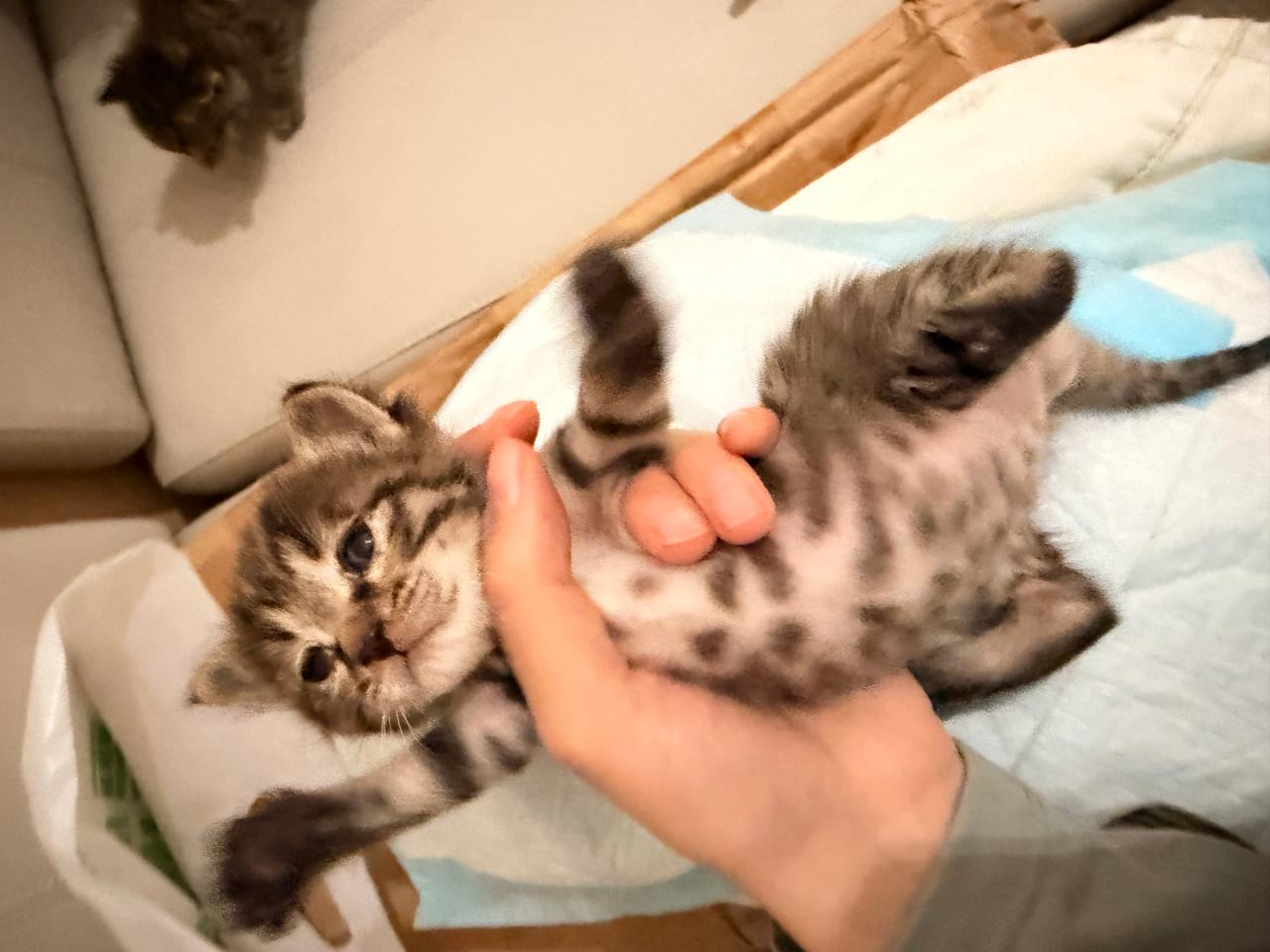 #