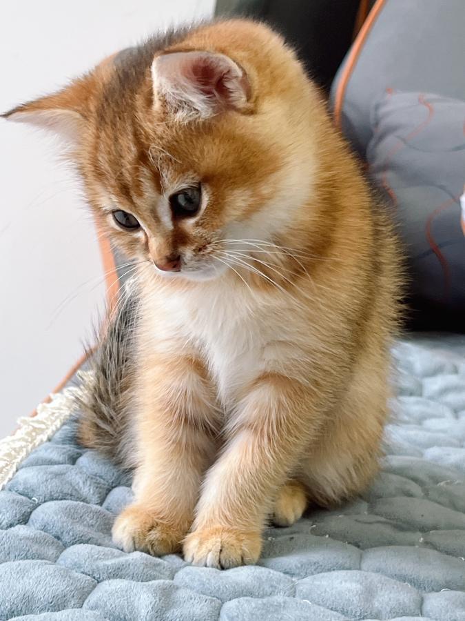 #