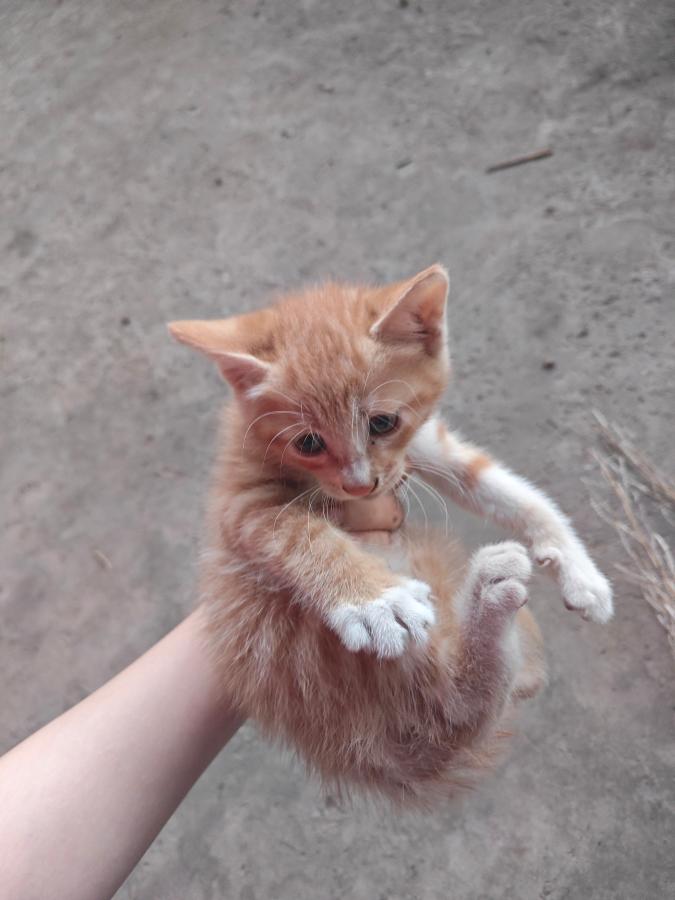 #