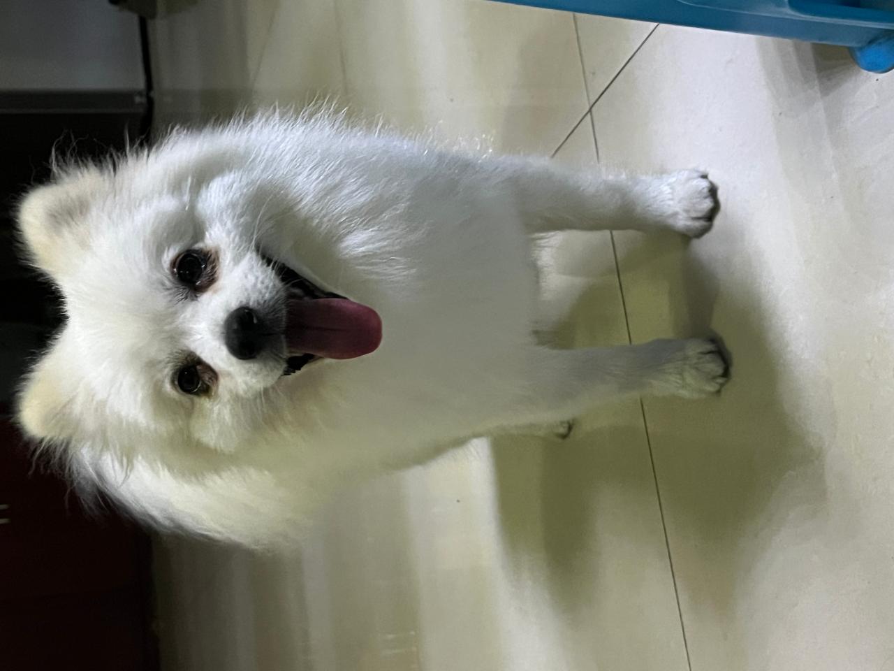 #