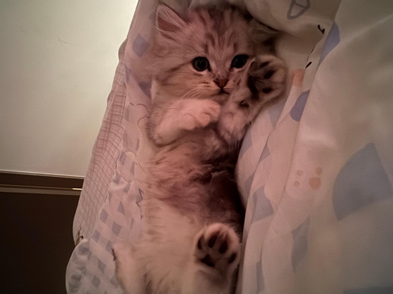 #