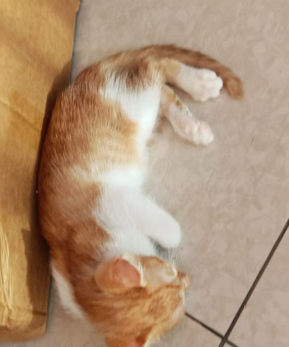#