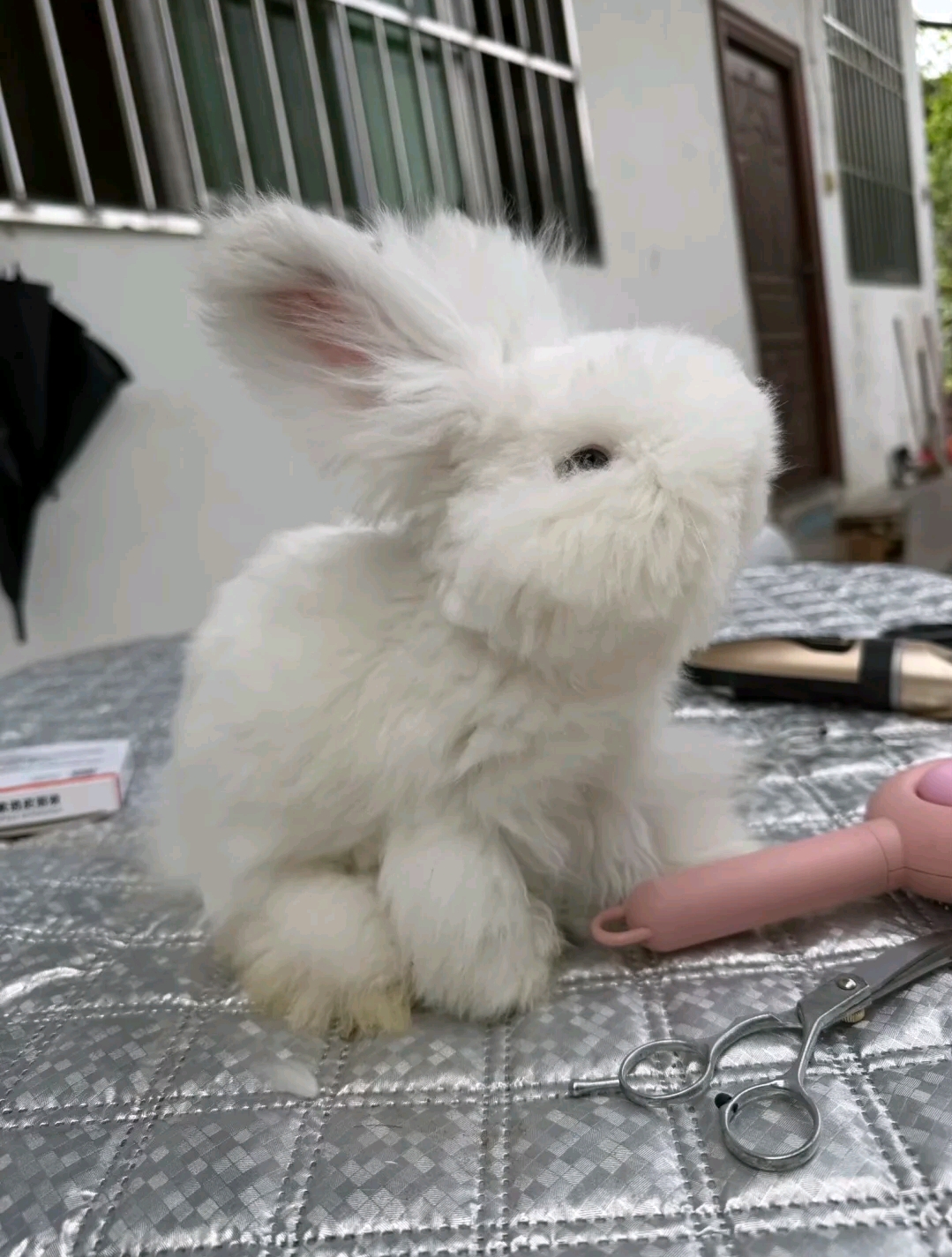 #
