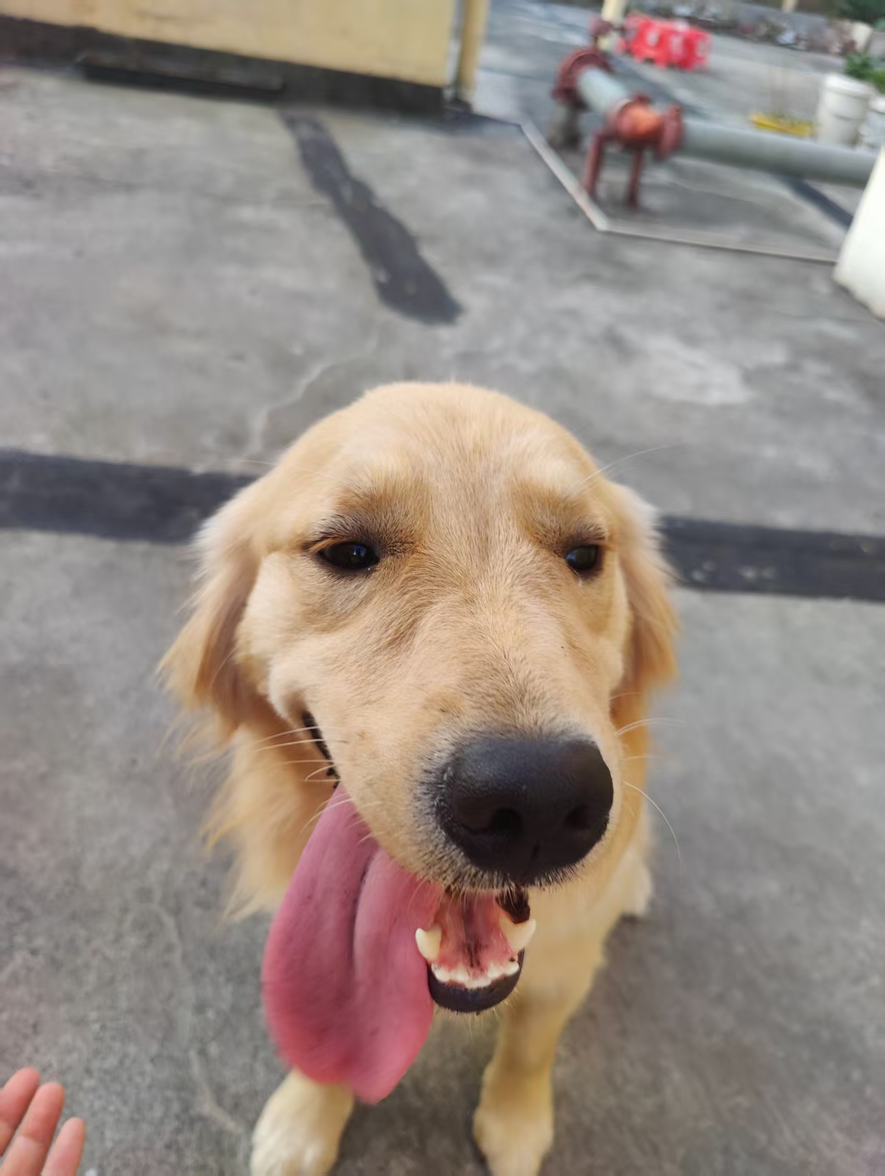 #