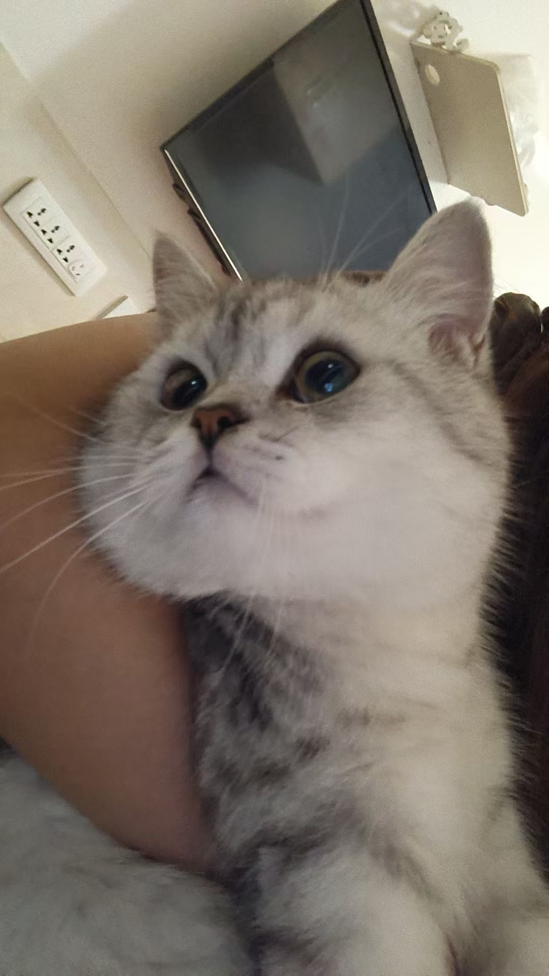 #