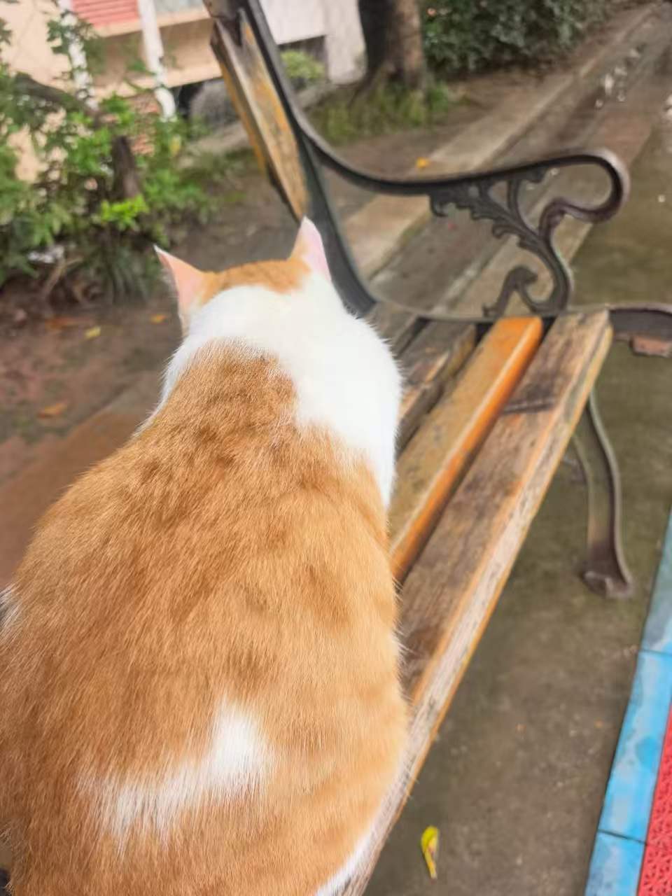 #