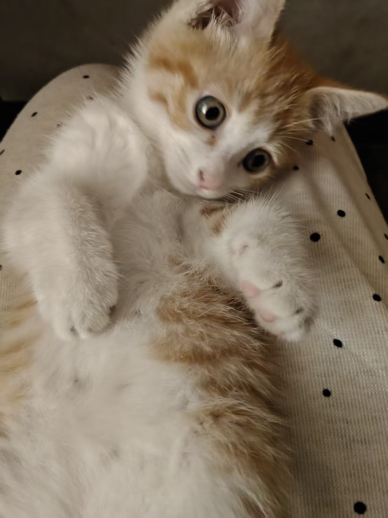 #