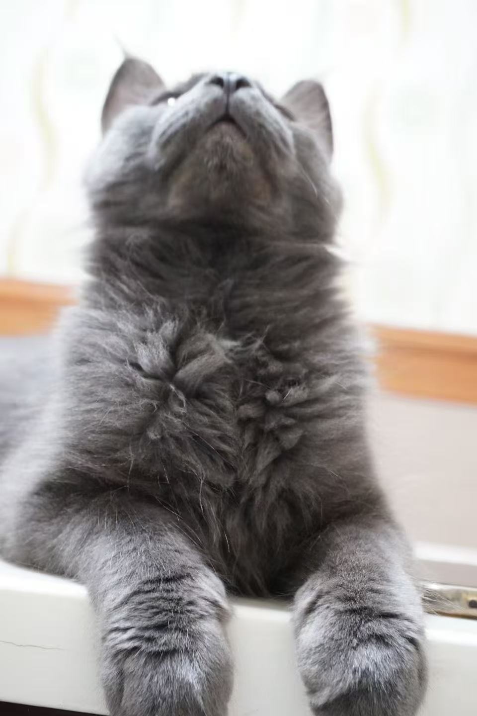 #