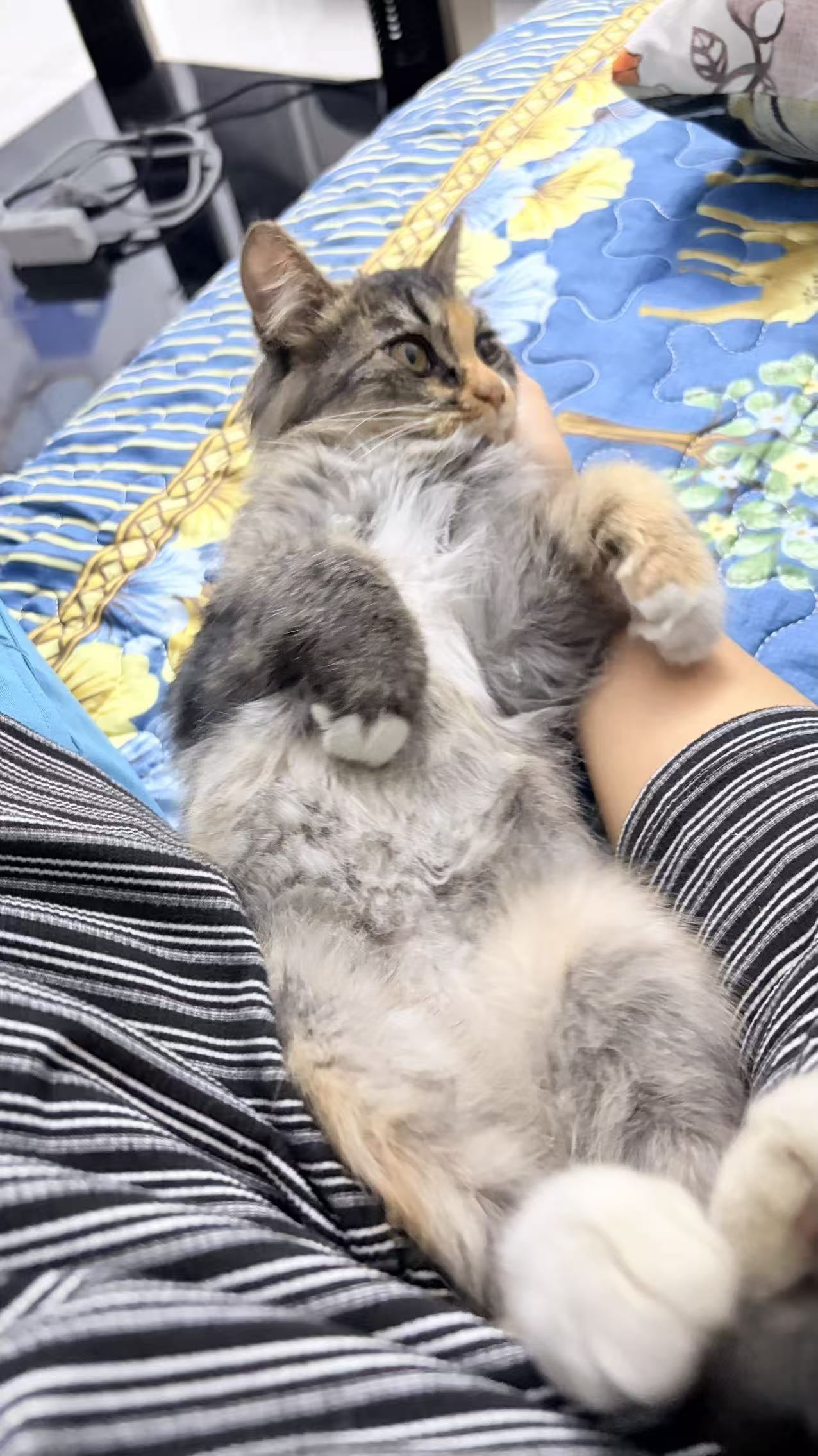 #