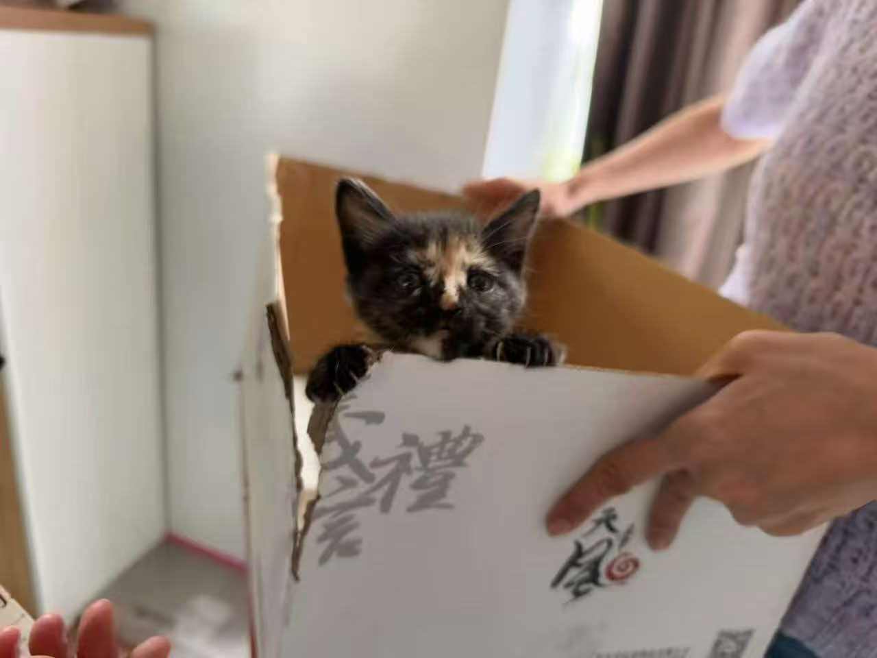 #